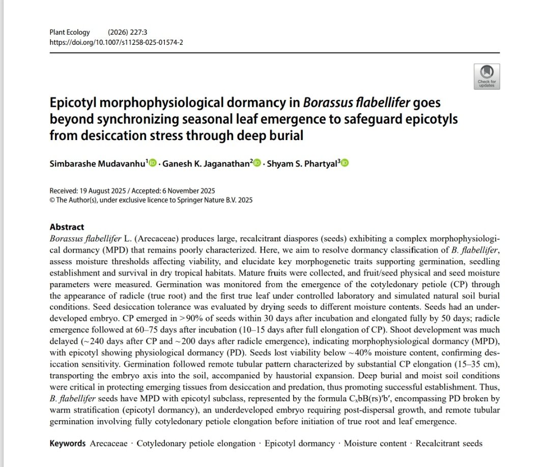 Simbarashe Mudavanhu tweet media