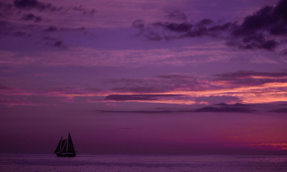 studio ghibli (@gardenofghibli) on Twitter photo 