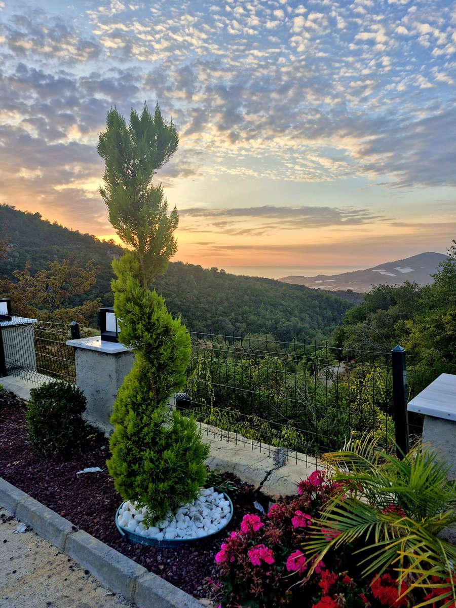 VeRa✿*ᴳᵉᴸⁱŞⁱᴳüᶻᵉˡ♤¿ tweet media