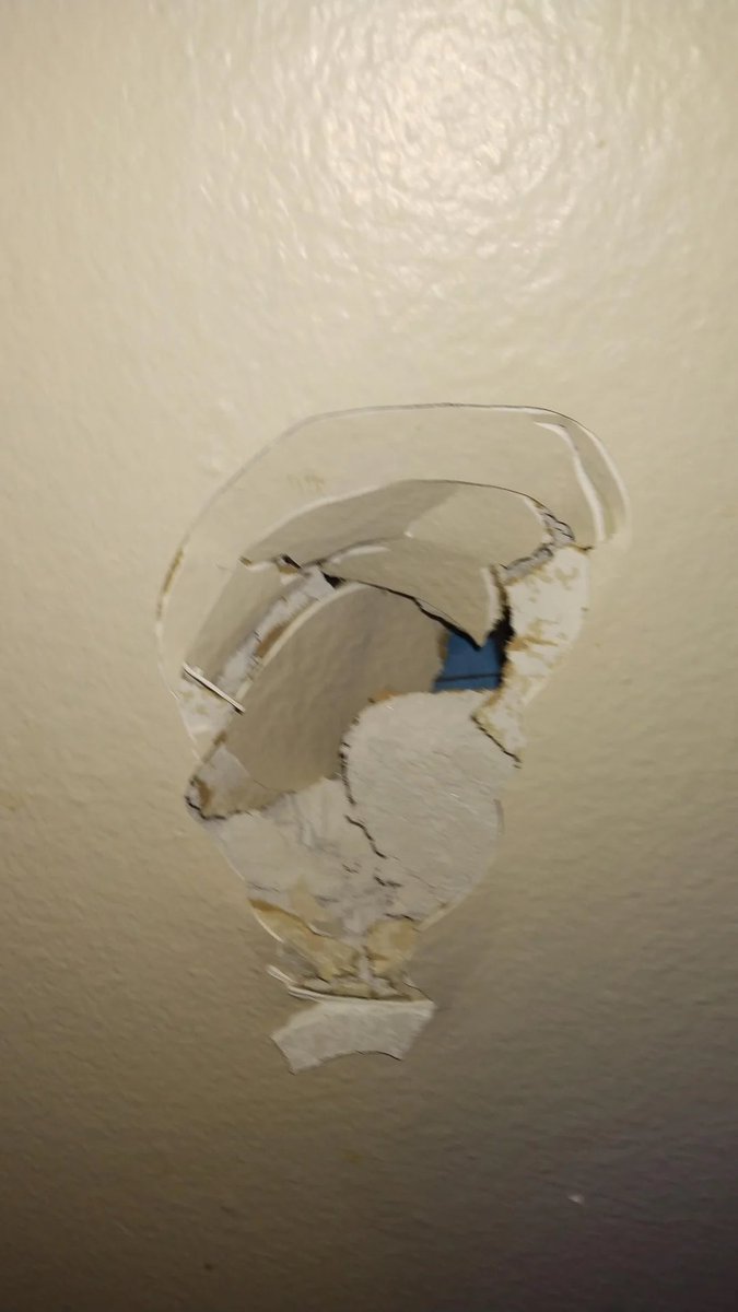 Carl Potter tweet media