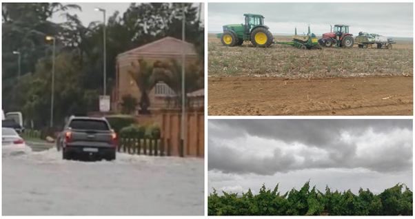FarmSol Holdings tweet media