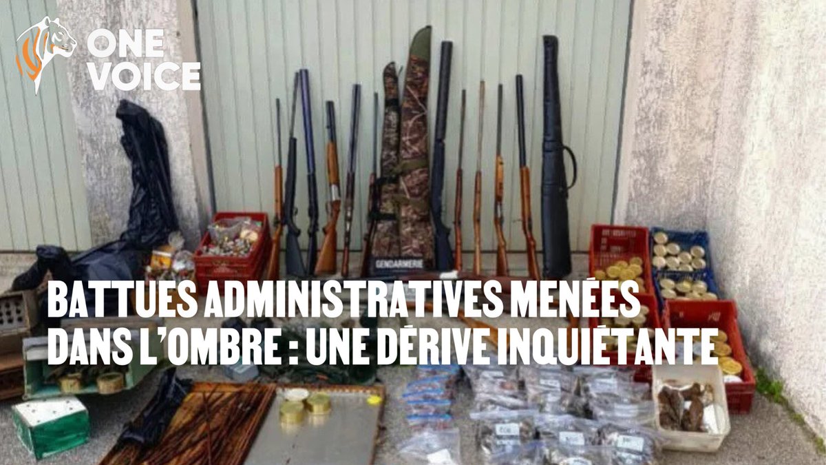 onevoiceanimal's tweet photo. Braconnage dans le Var : chasse à glu, centaines d’oiseaux morts retrouvés sur place… Pour dire non à l’impunité, One Voice se constitue partie civile contre l’auteur des faits !

https://t.co/C0p9ipTn2g https://t.co/3xHyOA9RSF
