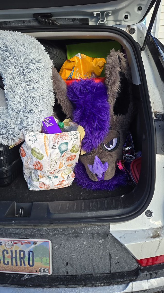 Maes 🦇 tweet media