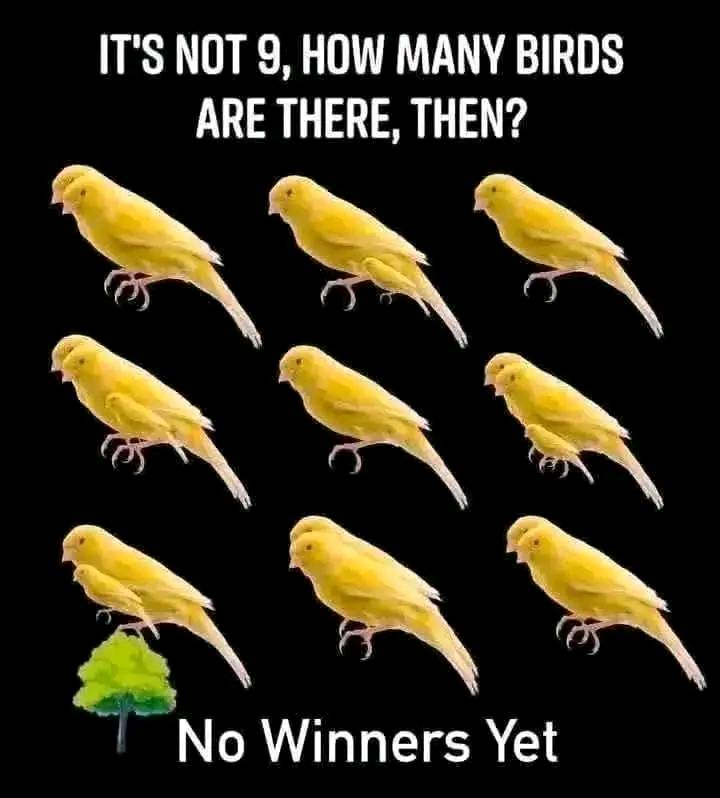 ohhanxiety's tweet image. It's not 8. How many birds are there?
🤔🤔