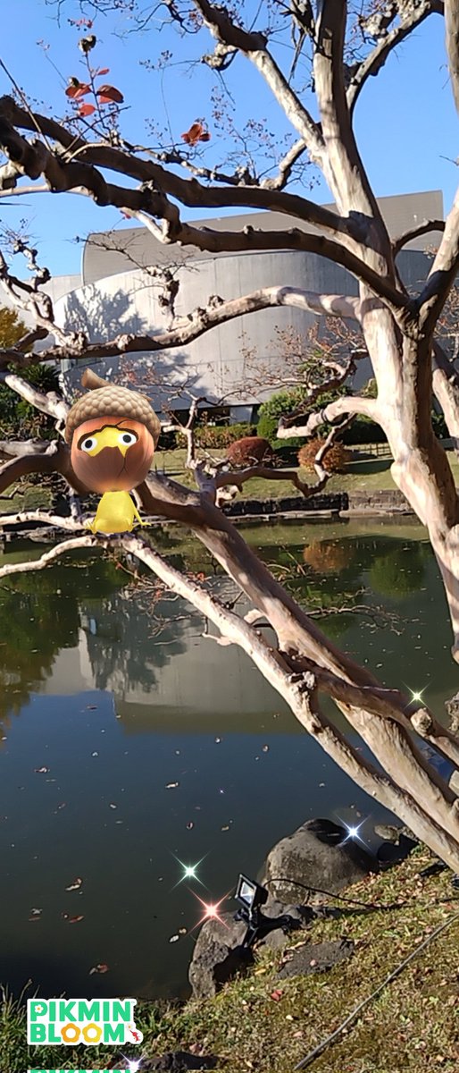 Golden Piony 🌱🐉🪄 tweet media