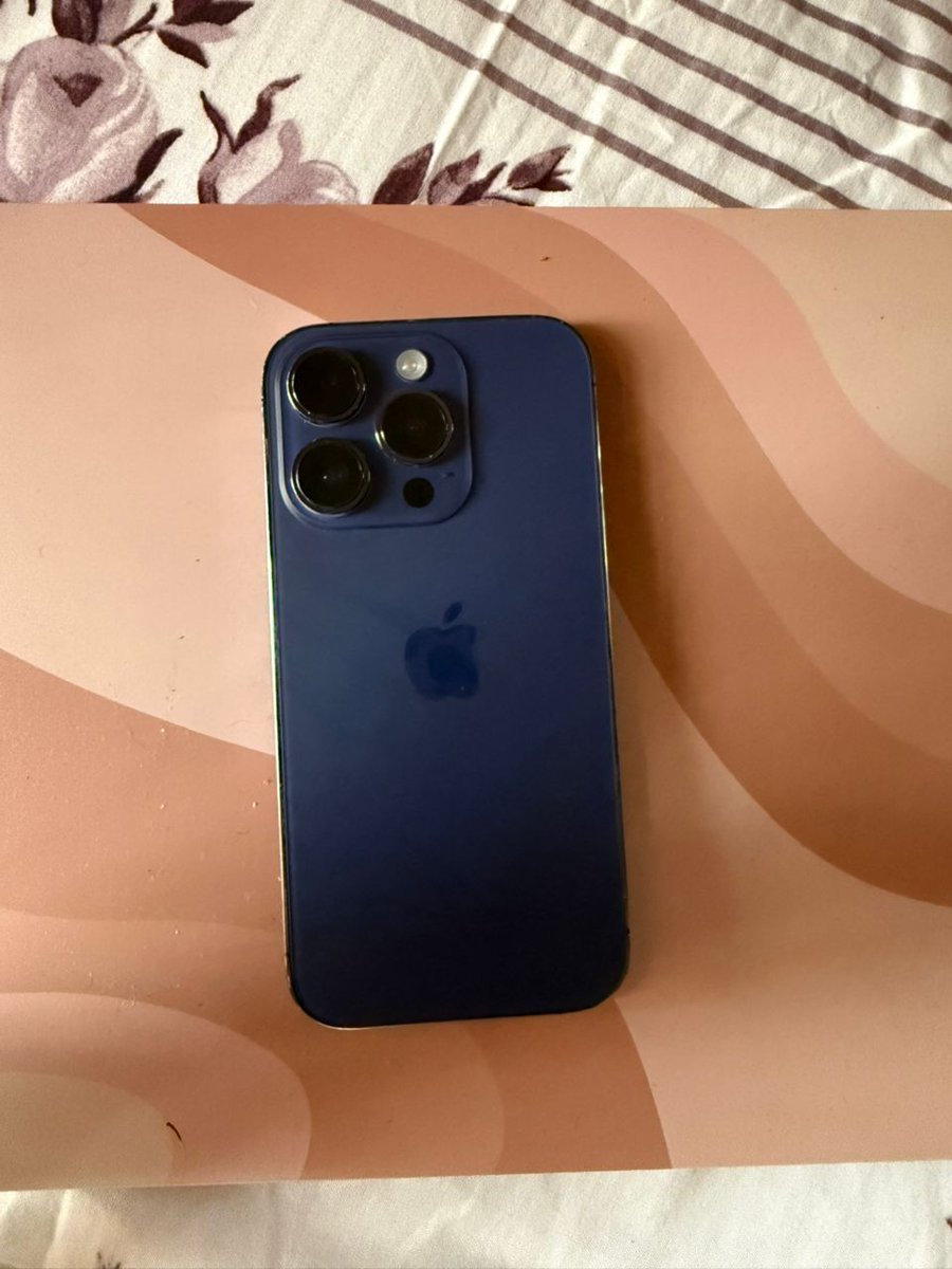 POTAM™️ 💙 tweet media