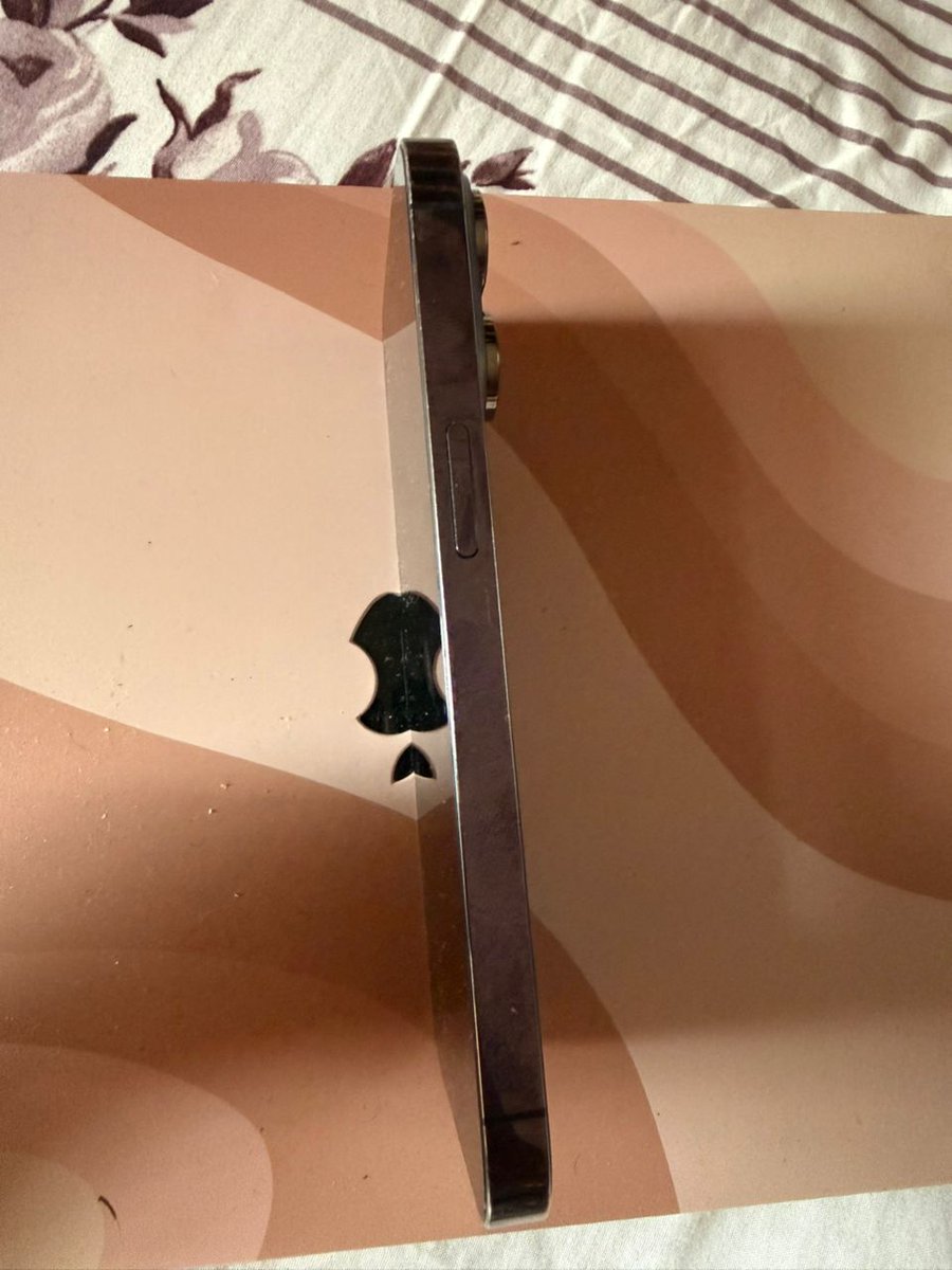 POTAM™️ 💙 tweet media