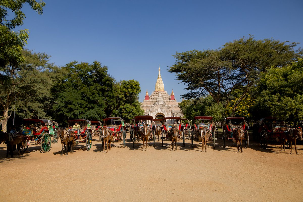 To celebrate Jin’s birthday, Myanmar ARMYs arranged 33 horse carriages in the UNESCO World Heritage Site of Bagan to offer free 1-hour rides to everyone. 

The carriages were fully decorated with Jin-themed vinyls, and we all toured the ancient cultural region of Bagan together