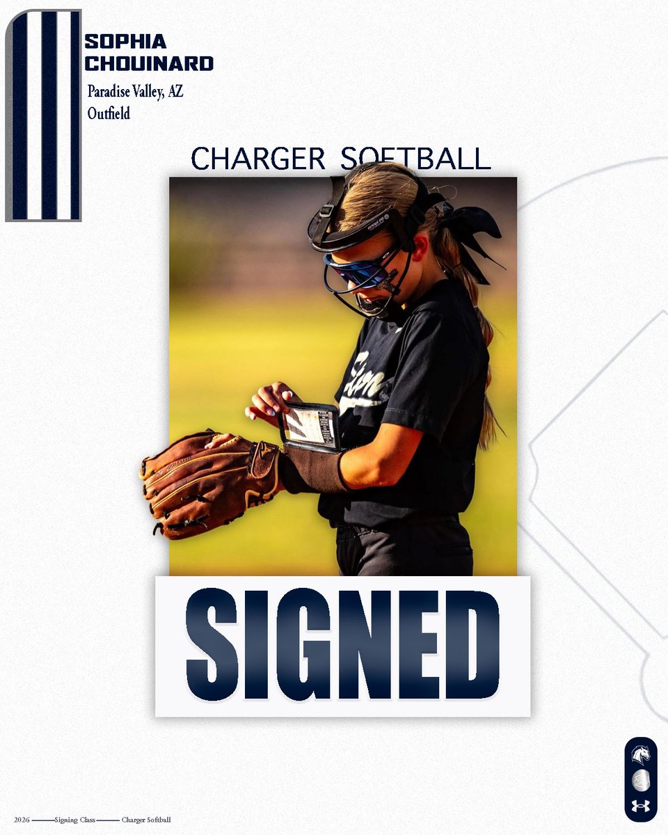 Hillsdale College Softball tweet media