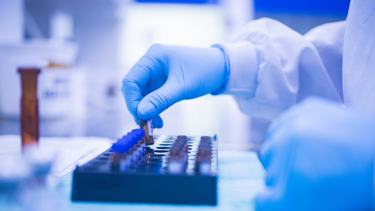 Georgia, USA tweet media