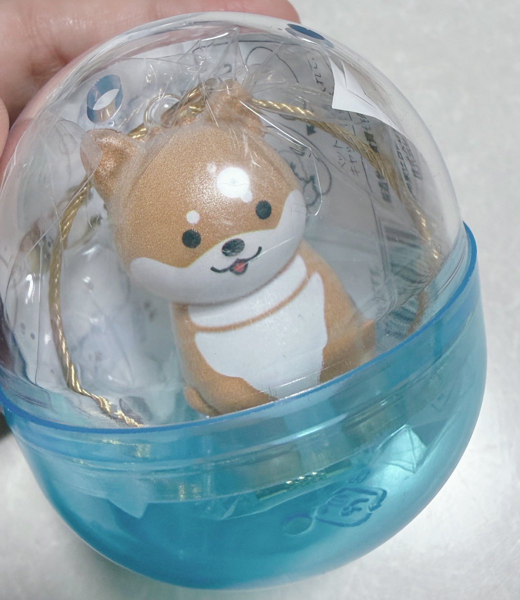 ちーちゃん🎄ZX-4RR (@bakusoumotochiz) / Posts / X