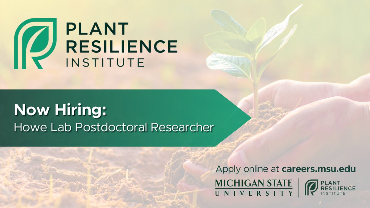 MSU Plant Resilience Institute @msupri.bsky.social tweet media