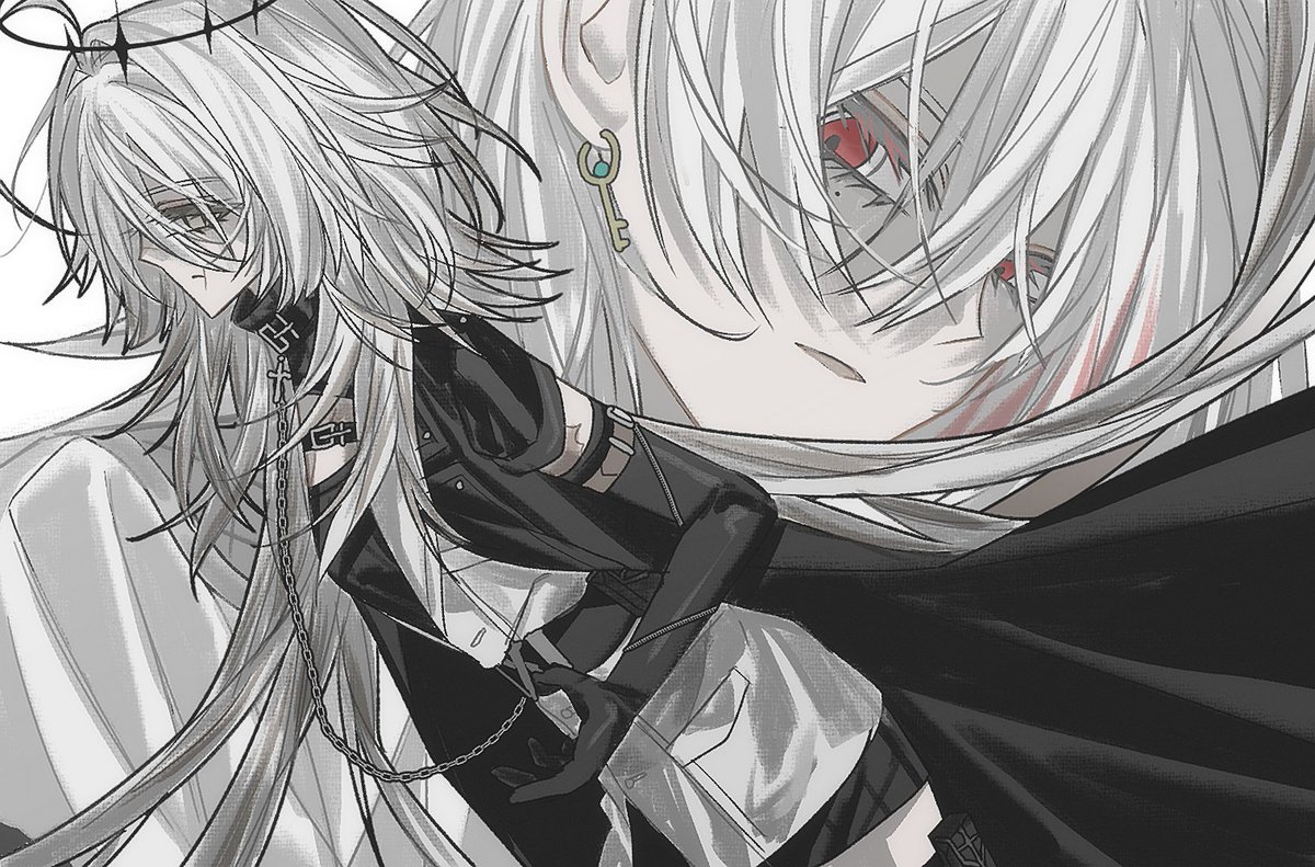 🌮🦓 tweet media