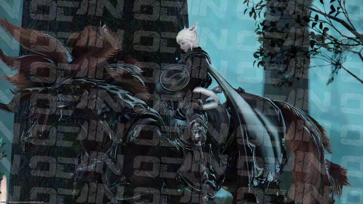 20251202 초코보 오딘 블루비 님