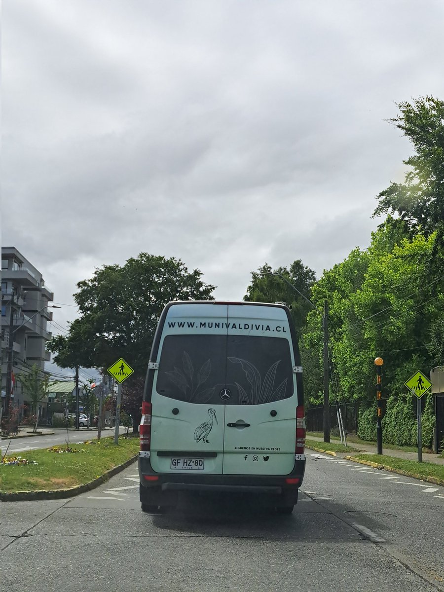 valdivia2023's tweet photo. Vehiculo Municipal @munivaldivia casi nos chocó. Salió de calle Ainil y cruzó Los Robles sin detenerse ni mirar. Un peligro el conductor @carlaamtmann #Valdiviacl https://t.co/Wz36MS69Zy
