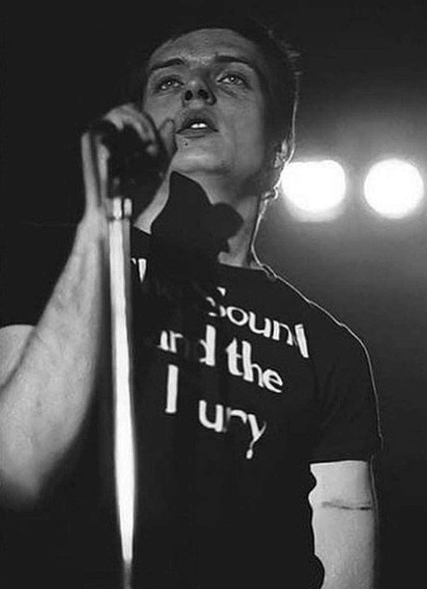 RADIOLARIA tweet media