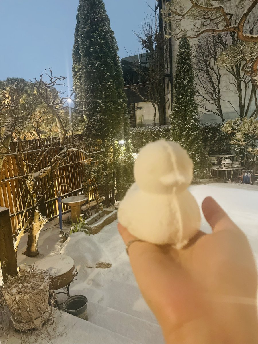 올해 첫 눈오리!!!