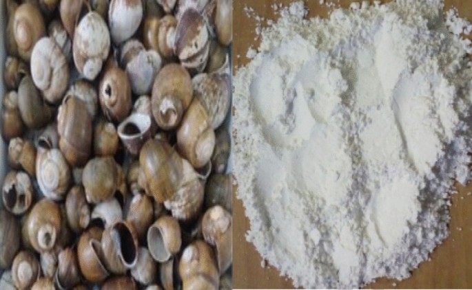 #NaijaFarmerTips 

Have you ever gotten a burn from hot water, fire, or a hot surface? 
Instead of panicking, one thing you can actually start looking for is the snail shell powder.

This is one simple item you should always keep at home.

Why snail shell powder?

It works as a