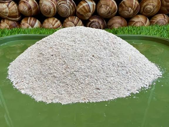 Nig_Farmer's tweet photo. #NaijaFarmerTips 

Have you ever gotten a burn from hot water, fire, or a hot surface? 
Instead of panicking, one thing you can actually start looking for is the snail shell powder.

This is one simple item you should always keep at home.

Why snail shell powder?

It works as a fast, natural healer for burn wounds. Just apply the powder gently on the affected area. 
It immediately helps soothe, dry, and speed up healing.

A small but powerful first-aid hack every home should actually have.