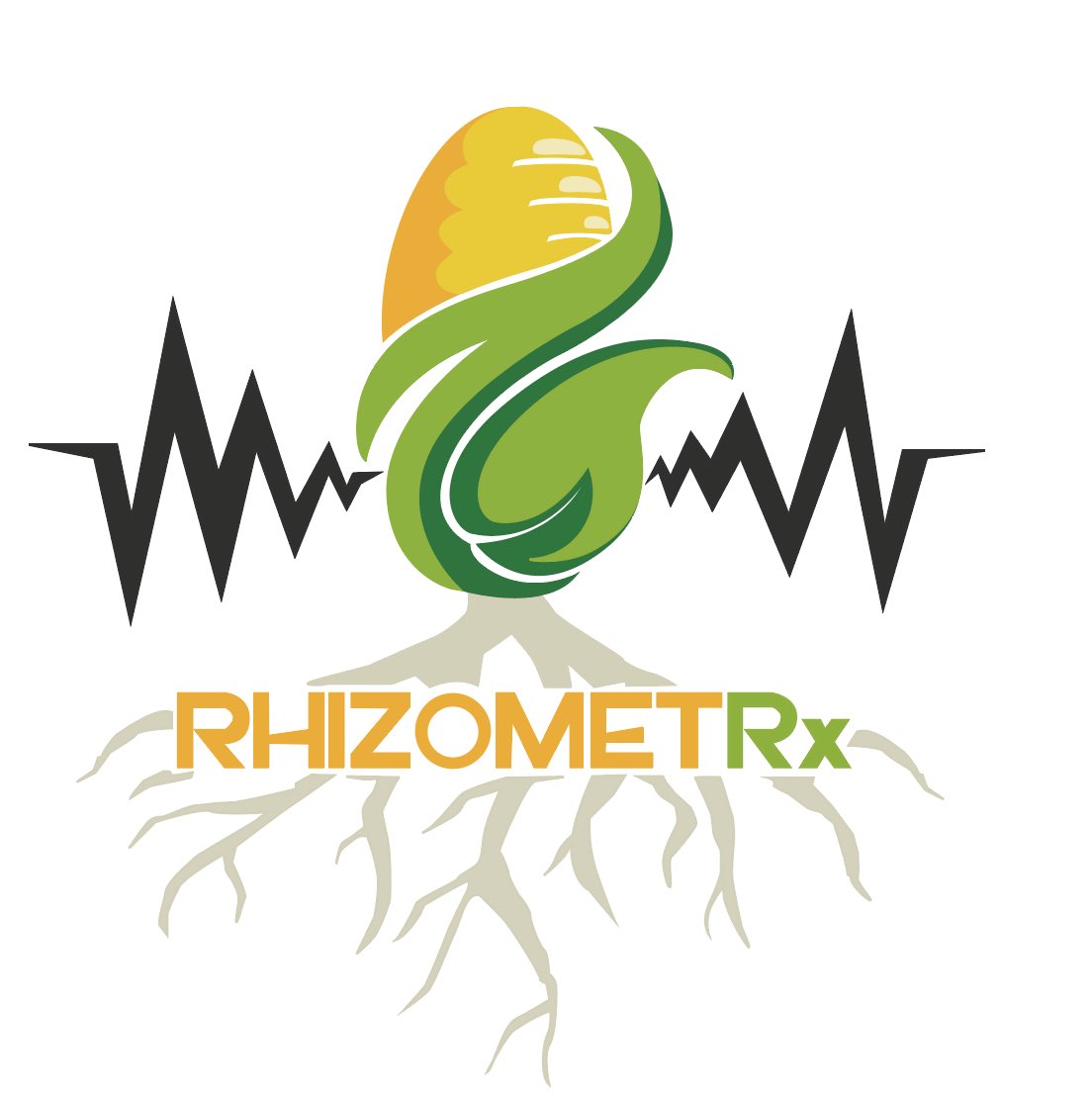 Faith Lois tweet media