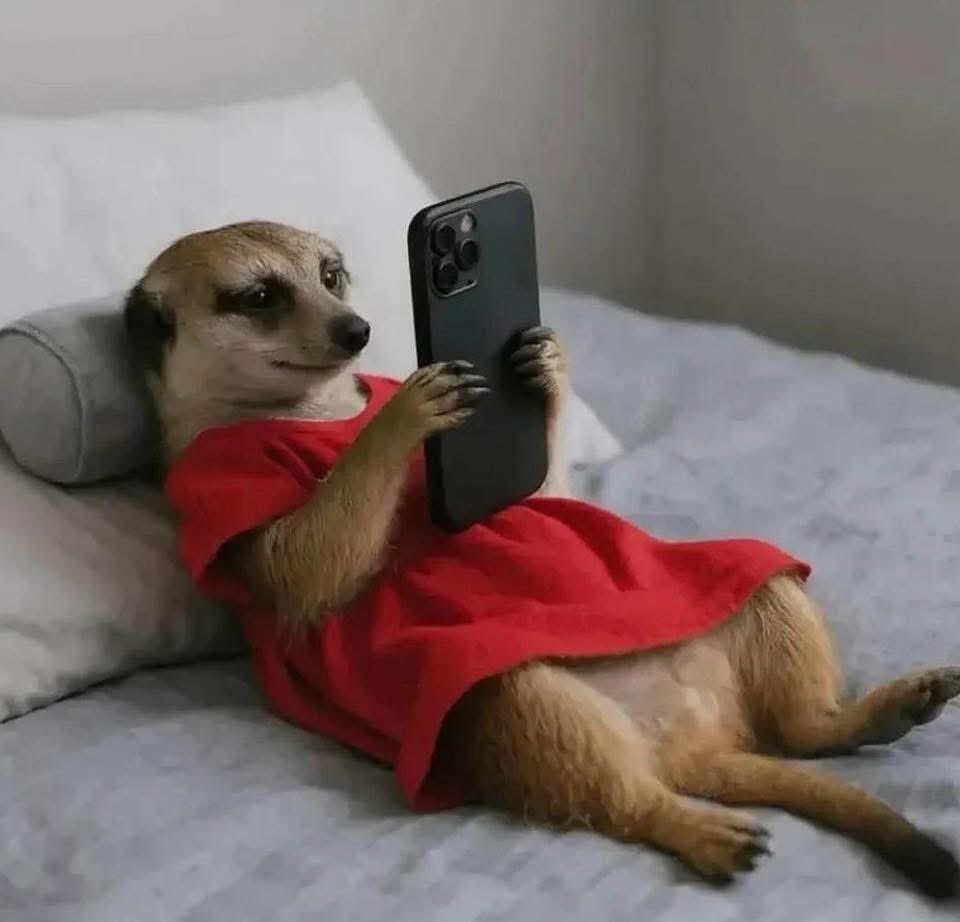 Just Say Hi,

We will follow you🚀📈🎉