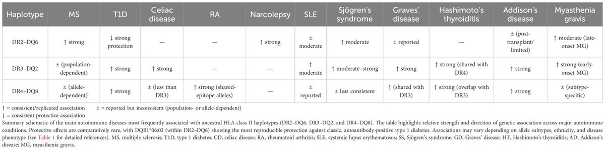 🟢𝟏𝟎) 𝐓𝐰𝐨 𝐚𝐮𝐭𝐨𝐢𝐦𝐦𝐮𝐧𝐞 𝐩𝐚𝐭𝐡𝐨𝐠𝐞𝐧𝐢𝐜 𝐩𝐚𝐭𝐡𝐰𝐚𝐲𝐬 𝐭𝐡𝐚𝐭 𝐜𝐨𝐦𝐩𝐥𝐞𝐦𝐞𝐧𝐭 𝐞𝐚𝐜𝐡 𝐨𝐭𝐡𝐞𝐫 𝐢𝐧 𝐋𝐨𝐧𝐠 𝐂𝐎𝐕𝐈𝐃, 𝐌𝐄/𝐂𝐅𝐒 𝐚𝐧𝐝 𝐩𝐨𝐬𝐭-𝐯𝐚𝐜𝐜𝐢𝐧𝐚𝐥 𝐬𝐲𝐧𝐝𝐫𝐨𝐦𝐞𝐬
Both mechanisms may coexist and reinforce each other, producing a