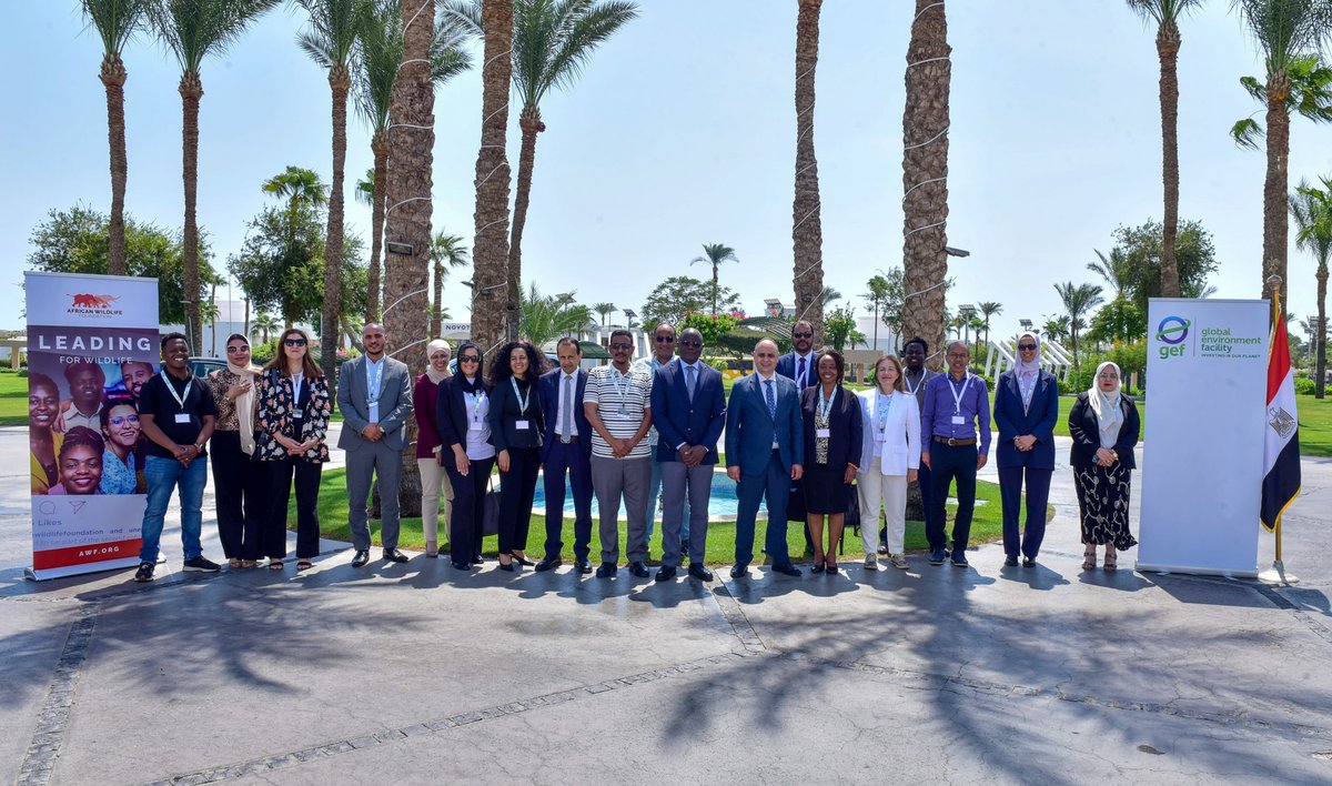 theGEF's tweet image. @theGEF &amp;amp; @AWF_Official hosted a regional workshop in Sharm El-Sheikh to equip Operational Focal Points from 6 countries with stronger tools for project oversight—boosting locally-led, high-impact GEF investments across the region.  

🔗 awf.org/pressroom/glob…

#CapacityBuilding