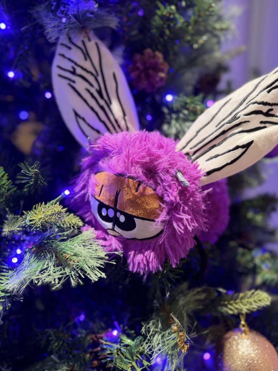 LuFFy (@luffy_nad) / Posts / X