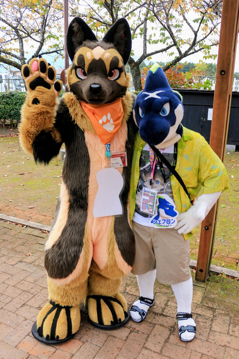 🦈 <a href="/chevron_shark/">シェブロン🦈</a> 義兄弟？のシェブロンさんと🐶🦈  #Kemocon18  📸 <a href="/koimei2/">是政　KOREMASA</a>