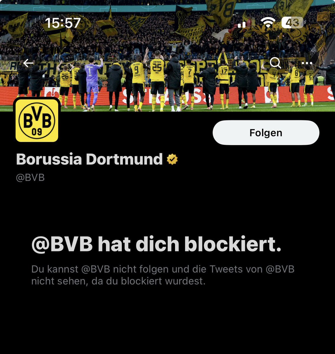 ヴィクトル・シックフィック 🍉 tweet media