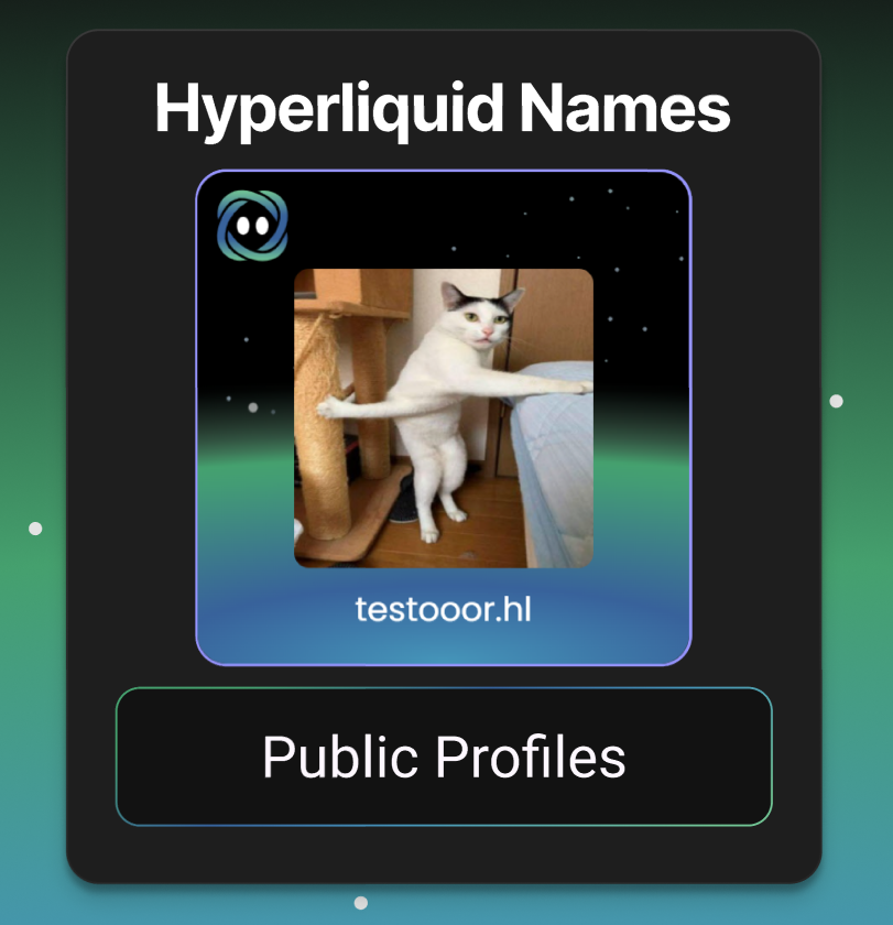 Hyperliquid Names tweet media