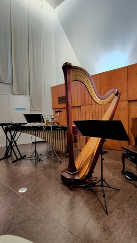 この前の日曜昼は、堀米綾(harp)＆相川瞳(marimba,per)のコンサートで厚木にある大島記念音楽堂へ。個人所有で、設計がオーチャードホールの方という事に興味を持ち参加。開始直後のハープの一音で、これは来てよかったなと。マリンバの響きも最高で楽しく聴けました。離れの音楽室、とても素敵でした