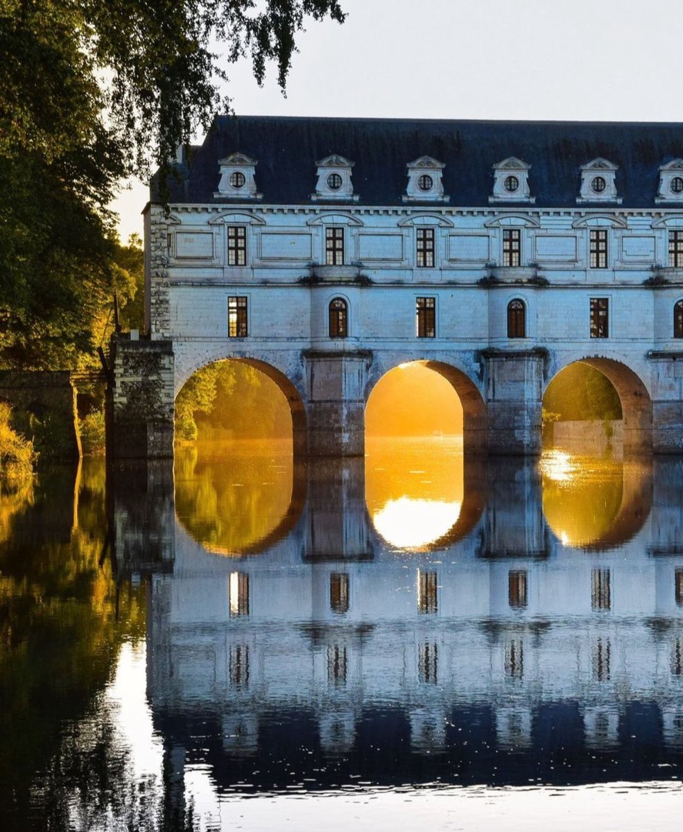 Elle Lookbook tweet media