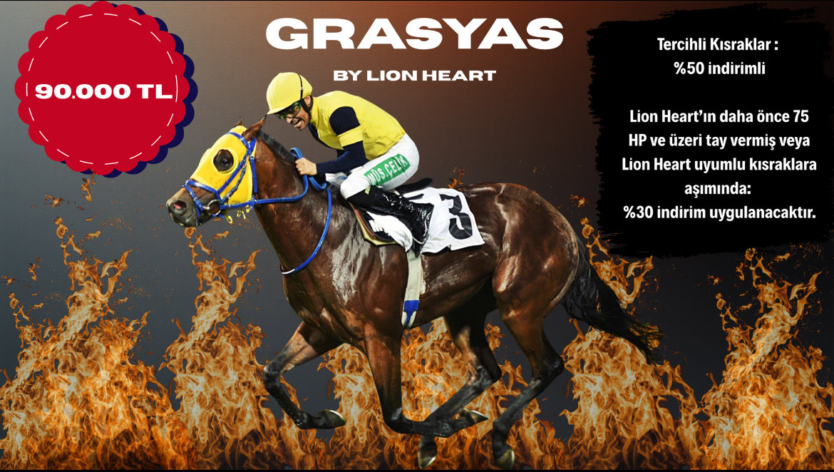 Süratin ve Dayanıklılığın Buluştuğu Kan GRASYAS #tjk #aygır