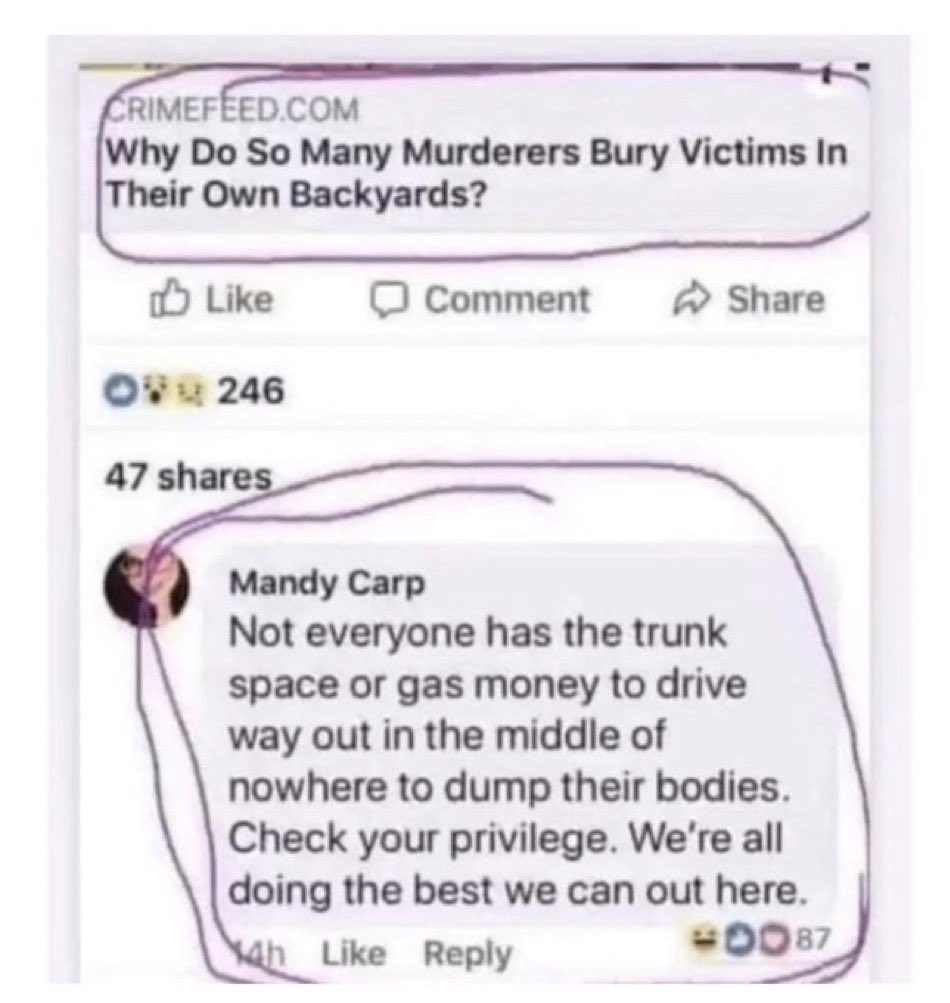 hoaorangutan's tweet image. 