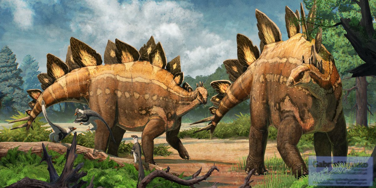 A pair of Stegosaurus leisurely walking while a group of Hesperornithoides bicker in the foreground