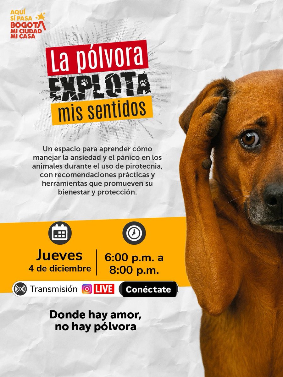 ¡Es hoy, es hoy! La pólvora explota sus sentidos y nosotros podemos ayudarles.🐶😿💥

Hoy jueves aprende cómo manejar la ansiedad y el pánico en los animales durante el uso de pirotecnia,.💛

🗓 4 DE DICIEMBRE
⏰ 6:00 p.m. – 8:00 p.m.
🔴 Instagram live instagram.com/animalesbog