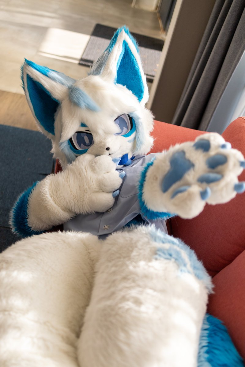 #FursuitFriday #fursuit
추우니까 어서 이리 와봐요~ 🐾