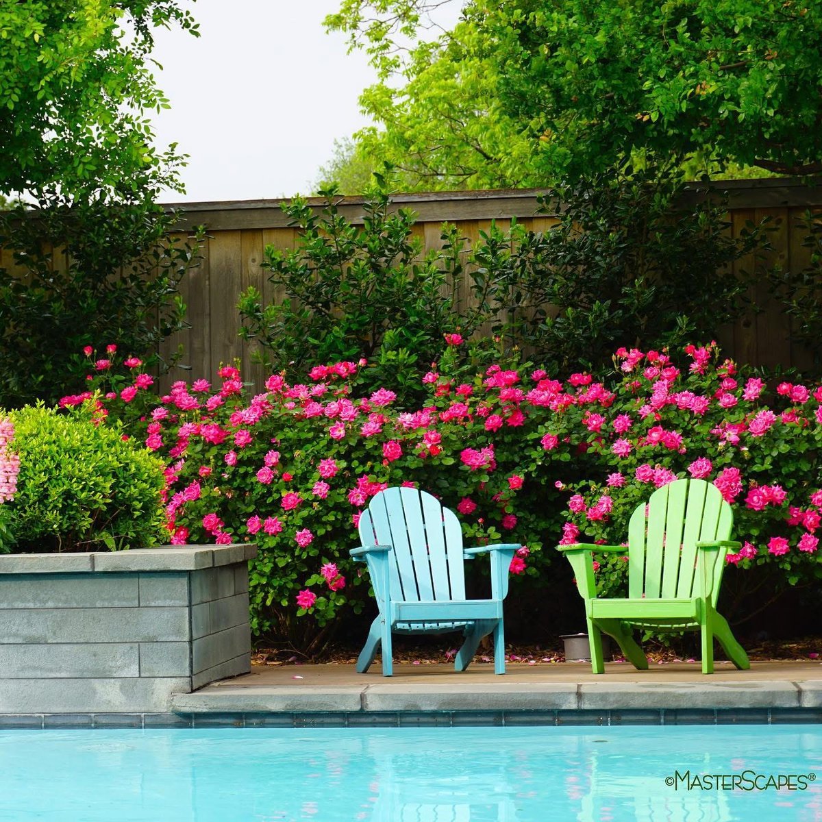 TheMasterScapes's tweet image. Warmer days and spring gardens are on our minds too. 🥶

What are you excited to plant this spring?