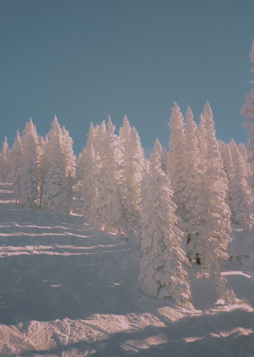 AlexKittoe's tweet image. December in a ski town 🎞️