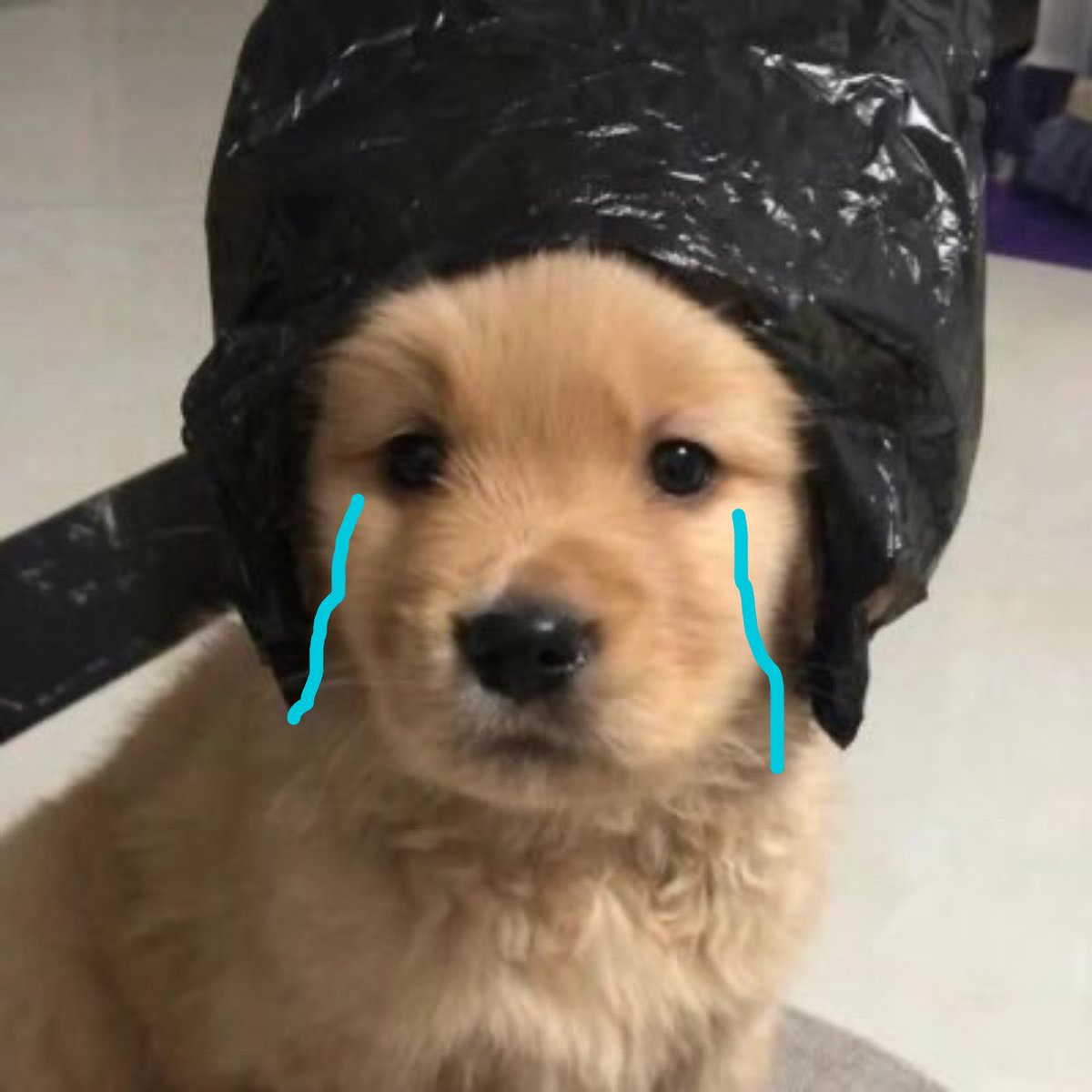 takemybear's tweet image. เทอไม่กุ้ดไน้คิสชั้นมาหลายวันแล่ว ชั้นฝันร้ายนะรุมั้ย ☹️