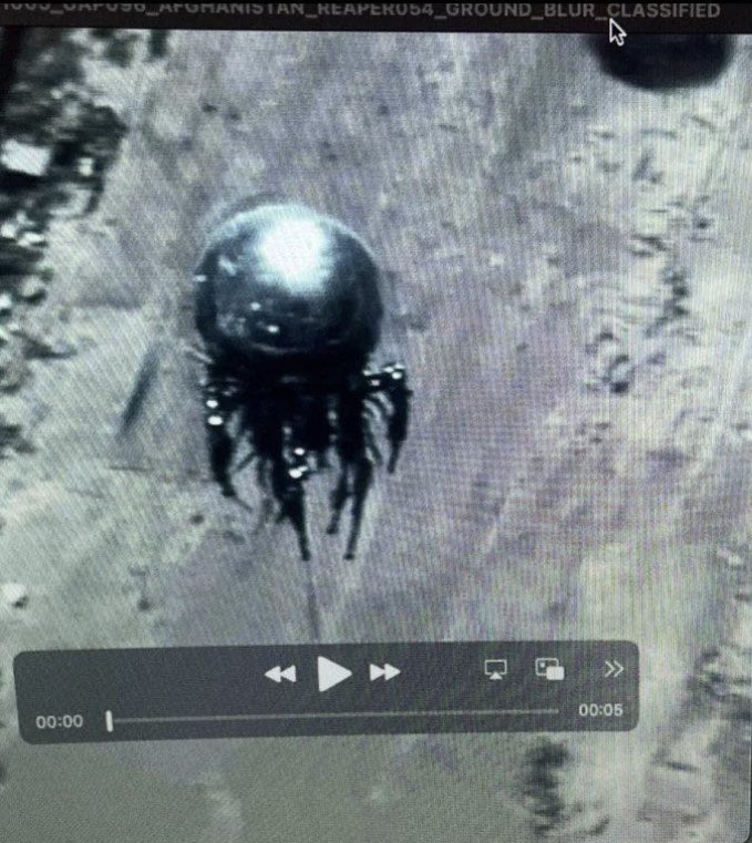 AnonymouShadow | UFO Research tweet media