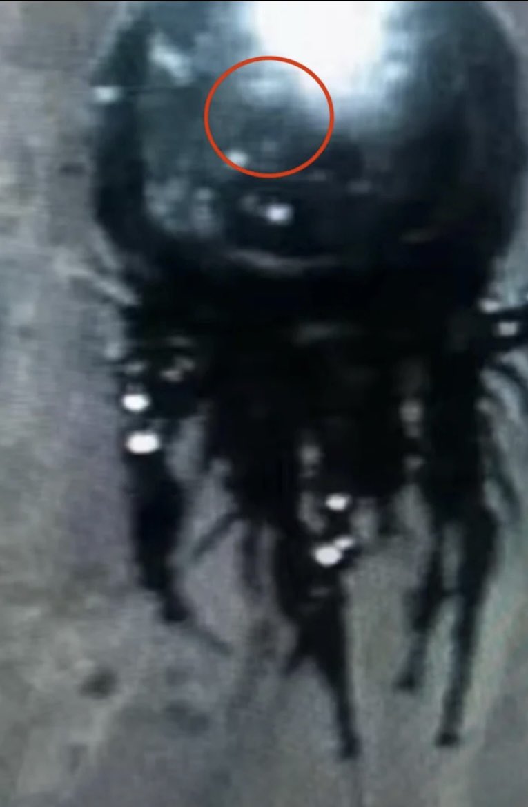 AnonymouShadow | UFO Research tweet media