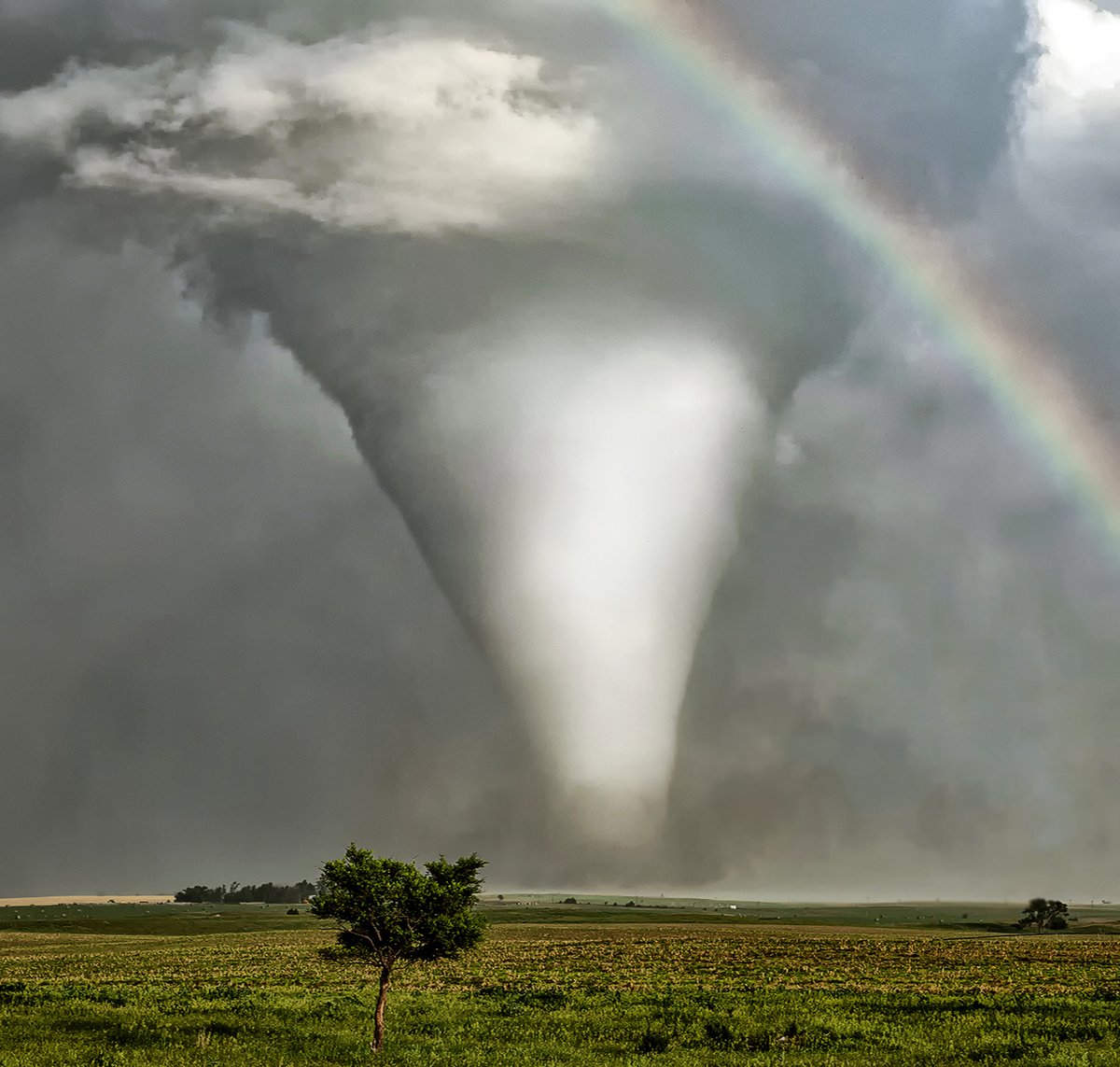 Roger Hill tweet media