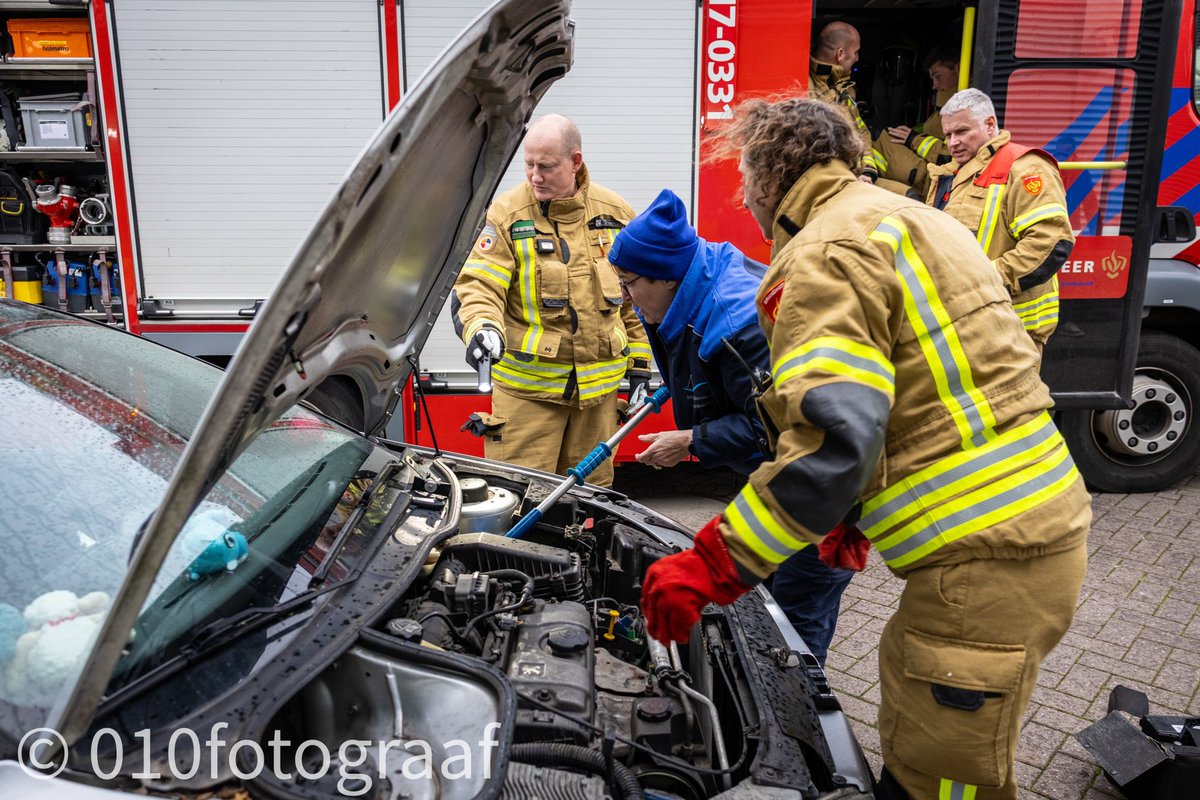 Joey Bremer tweet media