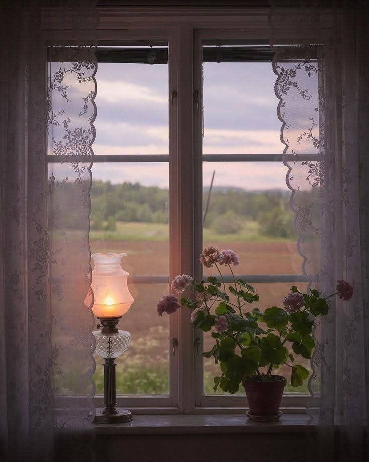 All I want is a calm and peaceful life