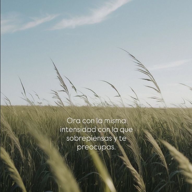 elsiervo__'s tweet image. 