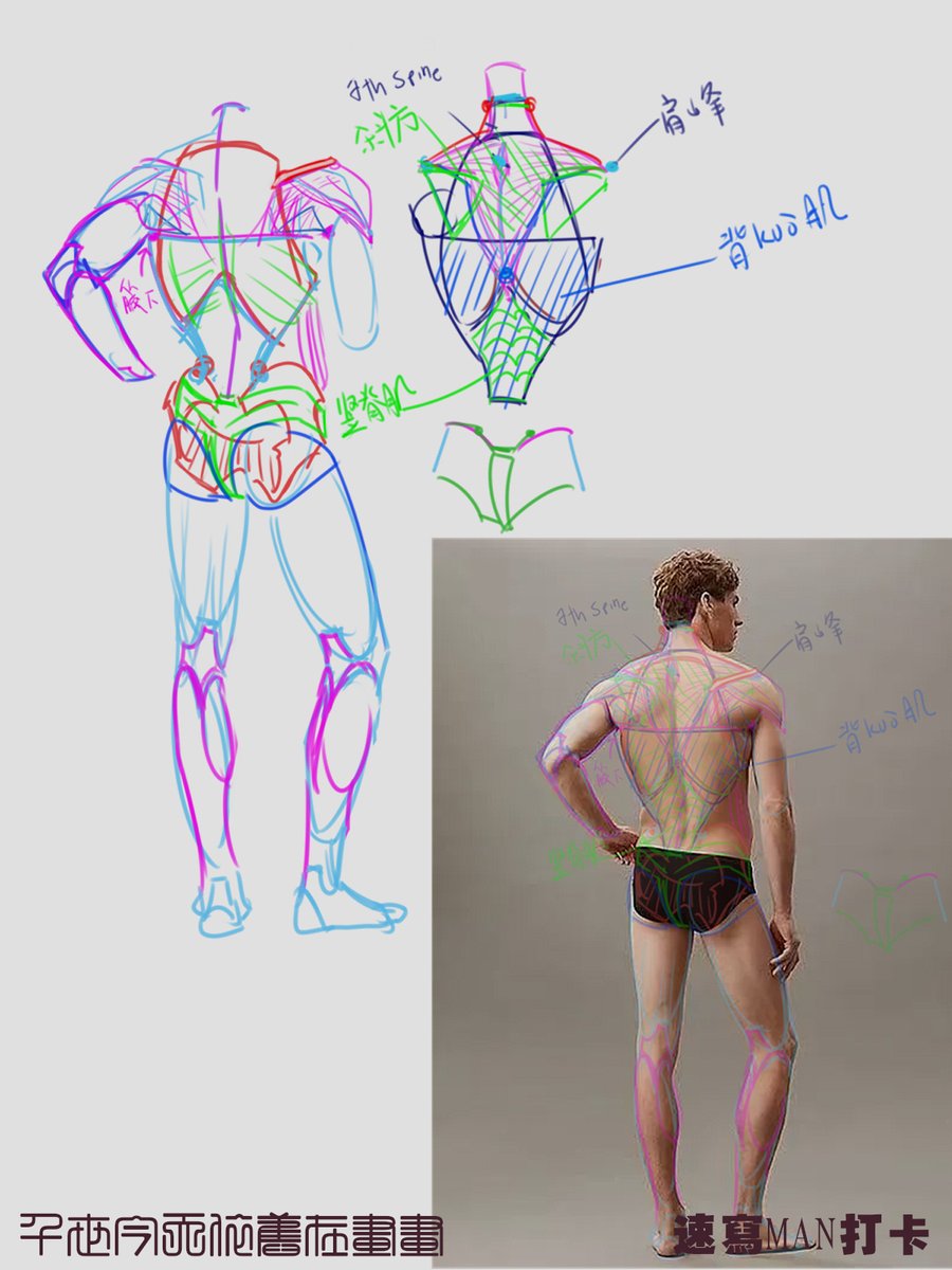 Some studies from classes  

速写MAN打卡

Pt1