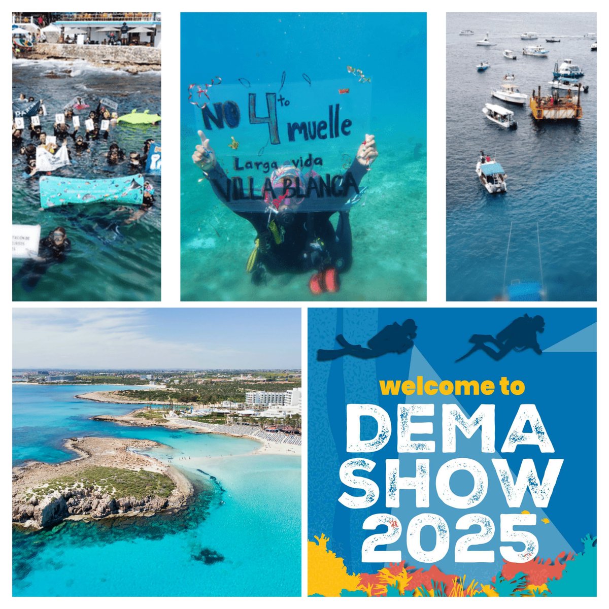 Scuba_Directory's tweet image. 🌊 December Newsletter is here! 🌊

✅ Why Cyprus Should Be on Your Radar 
✅ DEMA Show 2025
✅ How Cozumel Locals Fought to Save the reef
✅ 200-Year-Old Mystery Shipwreck 

🔗 Sign up here: thescubadirectory.com/about/newslett…

#DiveNews #DEMA #Cozumel #Cyprus #paditv #ScubaDivingMag #PADI