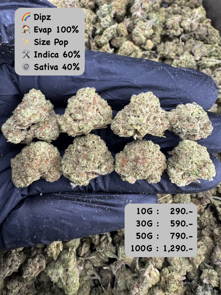 งานดีมาก รับประกันทุกตัว กลิ่นหอมเหมือนอินดอร์ คละสายพันธุ์ได้

10G : 290.-
30G : 590.-
50G : 790.-
100G : 1,290.-
หัวหินนัดรับ ส่งแกรปได้ค่ะ

Line ID:  @575briih (มี@ข้างหน้า)
กดลิ้งแอดไลน์👉 lin.ee/Vuy9cdu
#ขายกัญชา #กัญชาโอจี  #กัญชาออแกนิค  #กัญชาหัวหิน  #huahin